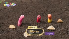 [PooPoo in Nature] ‘ 고마운 똥 ’ 시상식의 후보! ‘ 지렁이&소똥구리 ’ | KBS 241225 방송