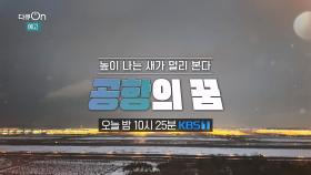 [예고] 높이 나는 새가 멀리 본다, 공항의 꿈 [다큐 ON] | KBS 방송