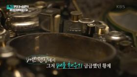잦은 구토와 설사에도 밥을 급하게 먹던 나폴레옹 | KBS 250107 방송