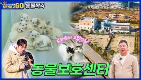 [일단 받고 GO] 펫 프렌들리! 동물보호센터🐶 /KBS 방송