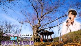 엉덩이💗 #김수찬 과 함께하는 대전광역시 중구 목달동 느티나무 / KBS 대전방송