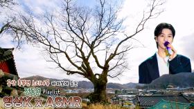 뱃놀이🚤 #정동원 과 함께하는 금산군 추부면 추정리 느티나무 / KBS 대전방송