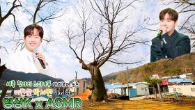 새콤달콤🍒 #박서진 꽃다운 날🌸 #이찬원 과 함께하는 세종특별시 연서면 청라리 느티나무 / KBS 대전 방송