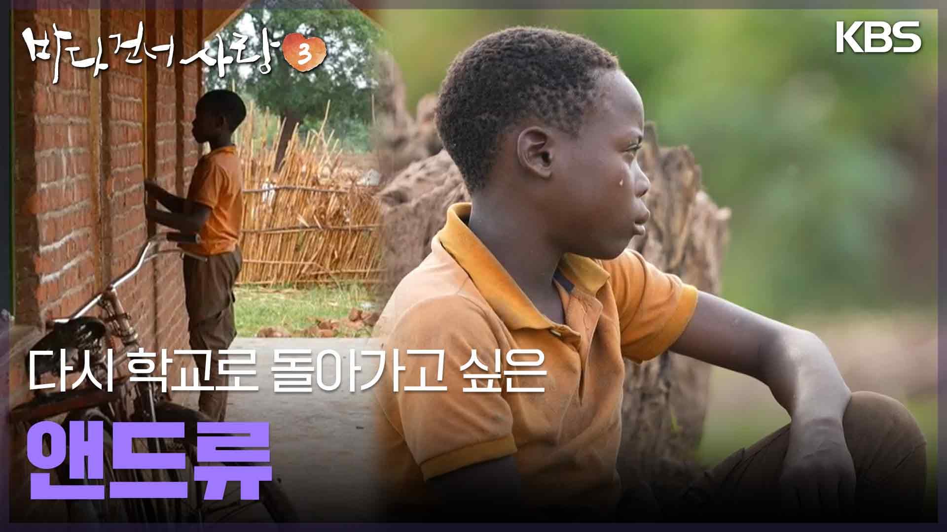 다시 학교로 돌아가고 싶은 앤드류 | KBS 250223 방송 | ZUM TV