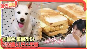 놓친 예능 따라잡기(동물은 훌륭하다 / 신상출시 편스토랑) | KBS 250227 방송