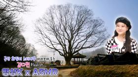 칭찬 고래🐳 #김다현 과 함께하는 금산군 금성면 화림리 느티나무 / KBS 대전 방송