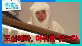 귀여운 곰모자 쓴 효정을 본 서진의 반응은?😂 “ 조심해라, 마취총 맞는다 ” | KBS 250301 방송