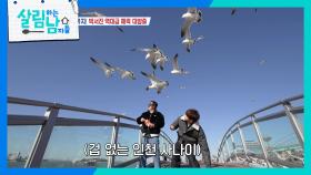 갈매기에 과자 주다 손가락 다칠뻔한 박서진&지상렬 ＂낫에 찍히는 줄 알았어!!❤️‍🩹＂ | KBS 250308 방송
