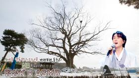 시계바늘🕐 #신유 와 함께하는 세종특별자치시 연동면 노송리 느티나무 / KBS 대전 방송