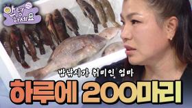 [안녕하세요] 우리 집에 어부가 살아요 | KBS 141229 방송