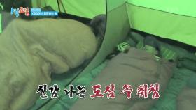 ※문화충격※ 이러면 야외 취침이랑 실내 취침이랑 다를 게 없는데? | KBS 250330 방송
