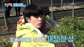 새참이 걸린 대환장 파머스 퀴즈🧑‍🌾 근데 파머스가 뭐예요? | KBS 250330 방송