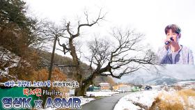 아버지의 바다💙 #박서진 과 함께하는 예산군 예산읍 간양리 느티나무 / KBS 대전 방송