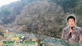 해뜰날🌞 #송대관 과 함께하는 대전광역시 대덕구 이현동 느티나무 / KBS 대전방송