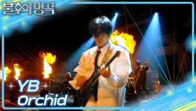 [선공개] YB - orchid | KBS 방송