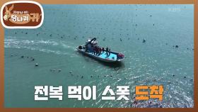 호텔에서 연간 4톤씩 쓰는 전복?! 완도에 뜬 신 보스&호영✨ | KBS 250413 방송