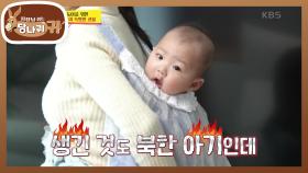 홍당무 씹어 먹으며(?) 만든 특별 선물! 북한식 포대기로 어부바하는 단이🥰 | KBS 250413 방송