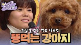 [안녕하세요] 자신의 변을 먹는 애완견의 수방들며 사는 내 신세 | KBS 150126 방송