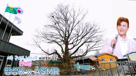 아버지의 한가락👴 #진해성 과 함께하는 세종특별자치시 금남면 영곡리 느티나무 / KBS 대전 방송