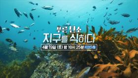 [예고] 푸른 탄소, 지구를 식히다 | KBS 방송