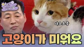 [안녕하세요] 고양이들에 밀려나 서러운 9살 연하 49세 남편 | KBS 150202 방송