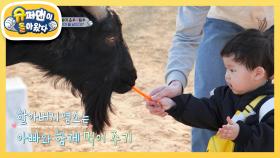 [김준호네] 저 푸른 초원 위의 목장~♬ 23개월 정우는 본격 사육 모드 ON | KBS 250423 방송