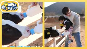 [김준호네] 양손 먹방의 대가는 다르다! 송아지 우유도 양손으로 먹이는 정우♥ | KBS 250423 방송
