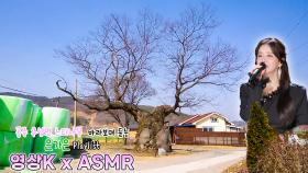 테리우스🤴 #은가은 과 함께하는 공주시 우성면 방흥리 느티나무 / KBS 대전 방송