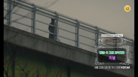 [예고] ＜전주국제영화제 수상작 특집＞ | KBS 방송