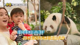 [572회 예고] 홍콩에서 만난 뜻밖의 습격! | KBS 방송