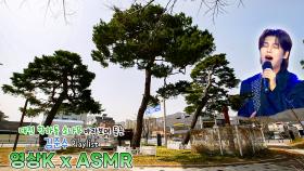 흥타령🎶 #김준수 와 함께하는 대전광역시 유성구 학하동 소나무 ㅣKBS 대전 방송