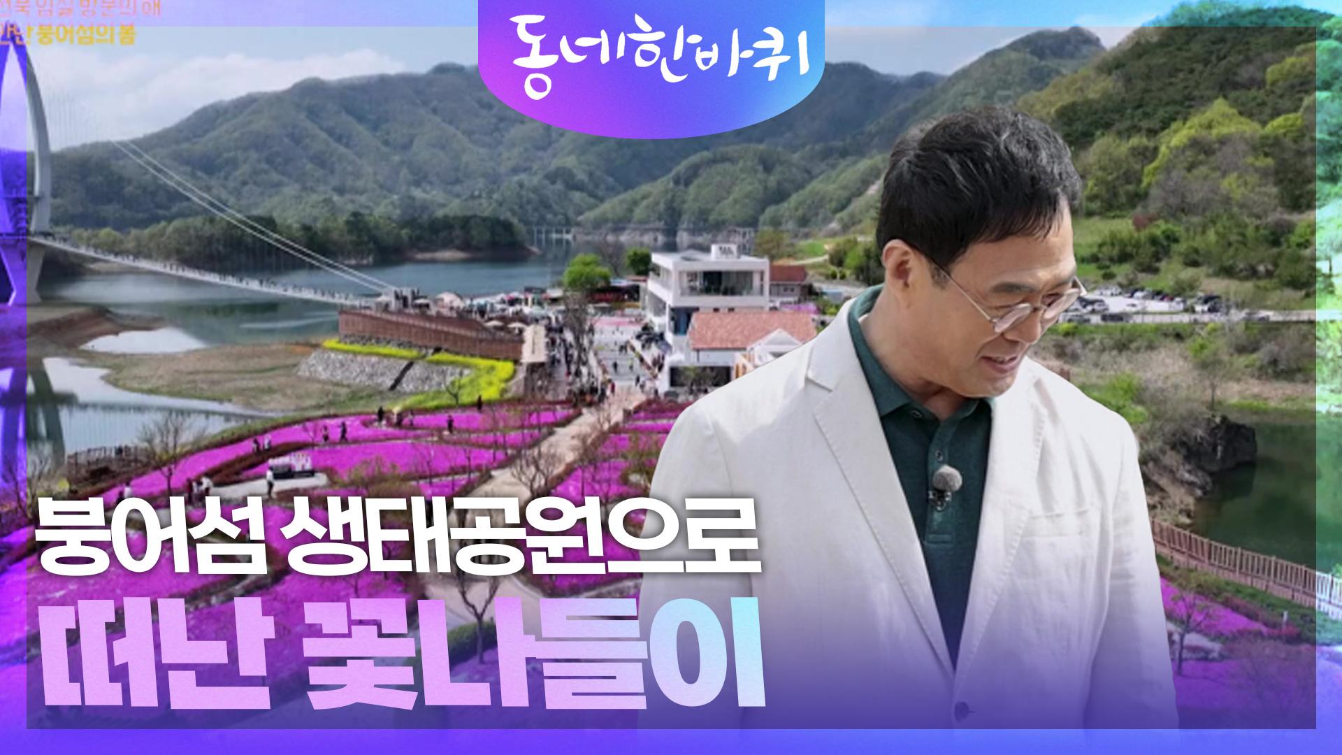 붕어섬 생태공원으로 떠난 꽃나들이 | KBS 250503 방송 | ZUM TV 붕어섬 생태공원으로 떠난 꽃나들이   | KBS 250503 방송 | ZUM TV