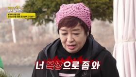 합이 척척 맞는 사 남매의 정원 단장! 머리채부터 잡는(?) 정원 관리 실력자🌱 | KBS 250505 방송