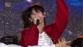 하이라이트 - Intro + BODY | KBS 250504 방송