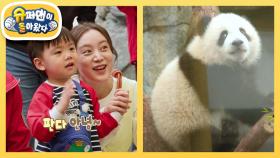 [우혜림네] 시우네 가족의 판다 홀릭🐼♥️ | KBS 250507 방송