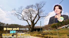 그리운 사랑💖 #김용빈 과 함께하는 공주시 유구읍 동해리 느티나무 / KBS 대전 방송