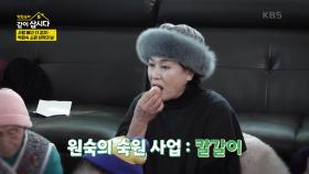 센스 있는 이장님의 전화📞 무딘 칼 전부 끌어모으는 원숙😆 | KBS 250505 방송