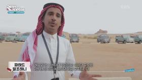 도로 곳곳에서 만날 수 있는 낙타 가족, 그들을 지나 도착한 헤그라 | KBS 250513 방송