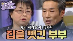 [안녕하세요] 개 13마리에 집을 빼앗긴 50대 부부 | KBS 150216 방송