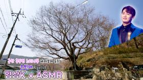 사랑해 당신💕 #손빈아 와 함께하는 금산군 추부면 장대리 느티나무 / KBS 대전 방송