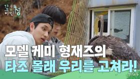 오늘의 일손 돕기! 모델 케미 형재즈의 타조 몰래 우리를 고쳐라! | KBS 250530 방송