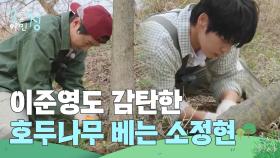 “ 우와 😮 ” 이준영도 감탄! 손 쉽게 호두나무 베는 소정현🐮 | KBS 250530 방송