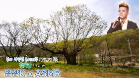 같이 사랑했는데💔 #천록담 이정과 함께하는 부여군 석성면 정각리 느티나무 / KBS 대전방송