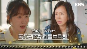 [36회 선공개] 또 무슨 사고를 저질렀어!! [독수리 5형제를 부탁해!] | KBS 방송