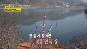 봄꽃 만끽하며 힐링 타임 “놓치면 안되는 소중한 순간은?” | KBS 250602 방송