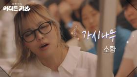 소향 - 가시나무 | KBS 250531 방송