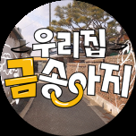 우리집 금송아지