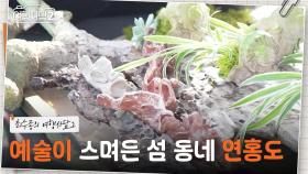 바다를 그대로 옮긴 어르신들의 작품! 곳곳에 예술이 스며든 섬 동네 ‘연홍도’♡ | KBS 250608 방송