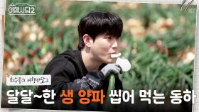 작업복까지 챙겨 입고 일손 돕기! 달달~한 생 양파 씹어 먹는 세 남자🧅 | KBS 250608 방송
