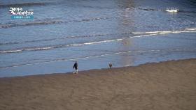 영국인들의 숨은 휴양지, 휘트비 “ 해안따라 드라이브하기 좋은 곳 ” | KBS 250611 방송